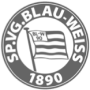 handball blau-weiss 1890 berlin 1 (1)